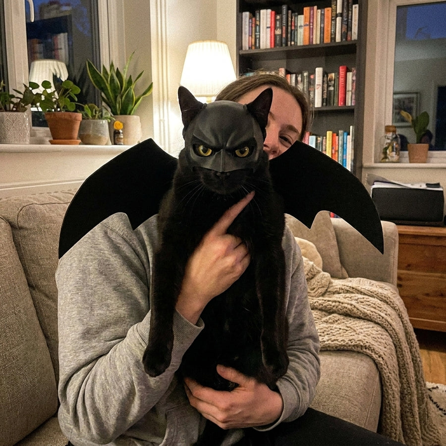 BatCat mask detail